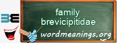 WordMeaning blackboard for family brevicipitidae